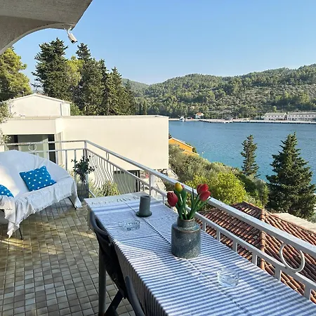 Apartman Vela Luka Apartman