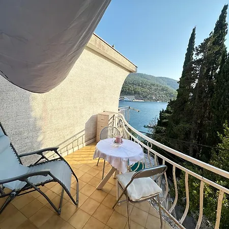 Apartman Vela Luka *
